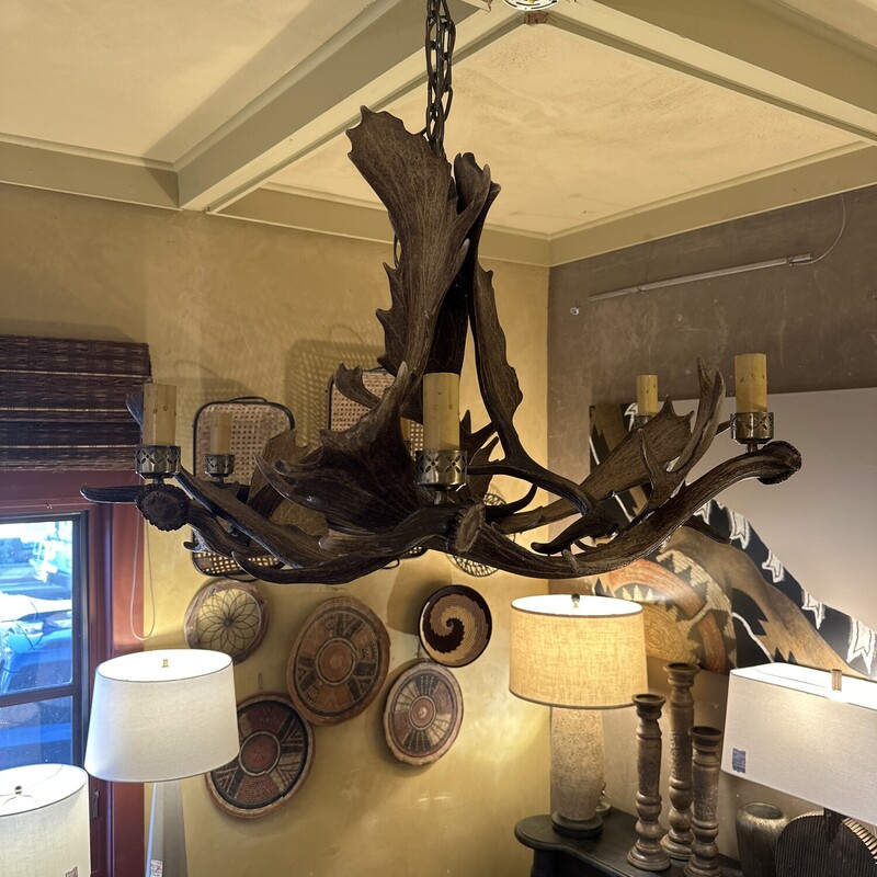 Moose Antler Six Light Chandelier<br />
<br />
 Size: 32Rx24T