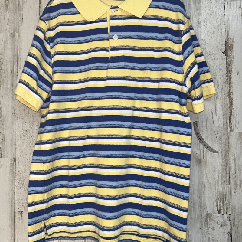 10/12 Yellow/Blue Stripe