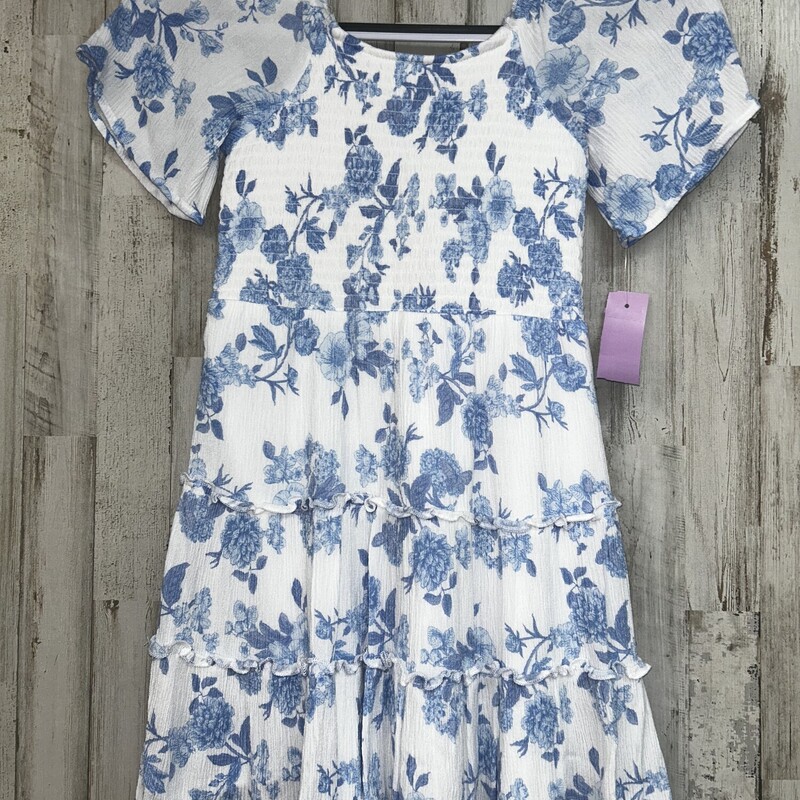 8 White/Blue Floral Dress