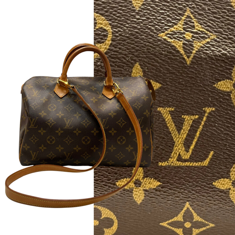 LouisVuitton Handbag