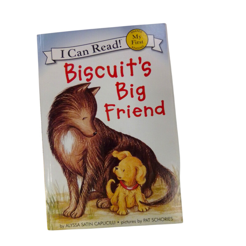 Biscuits Big Friends