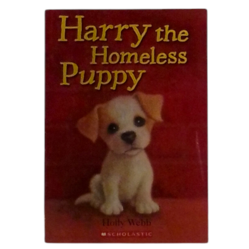 Harry The Homeless Puppy