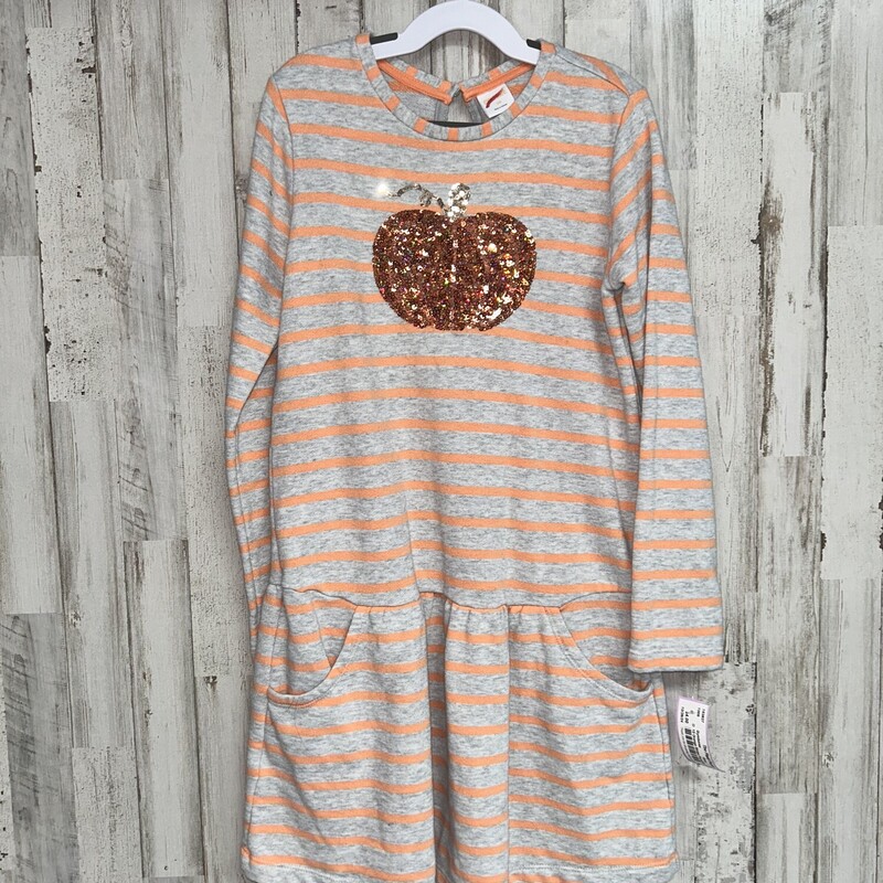 10 Orange Stripe Pumpkin, Grey, Size: Girl 10 Up