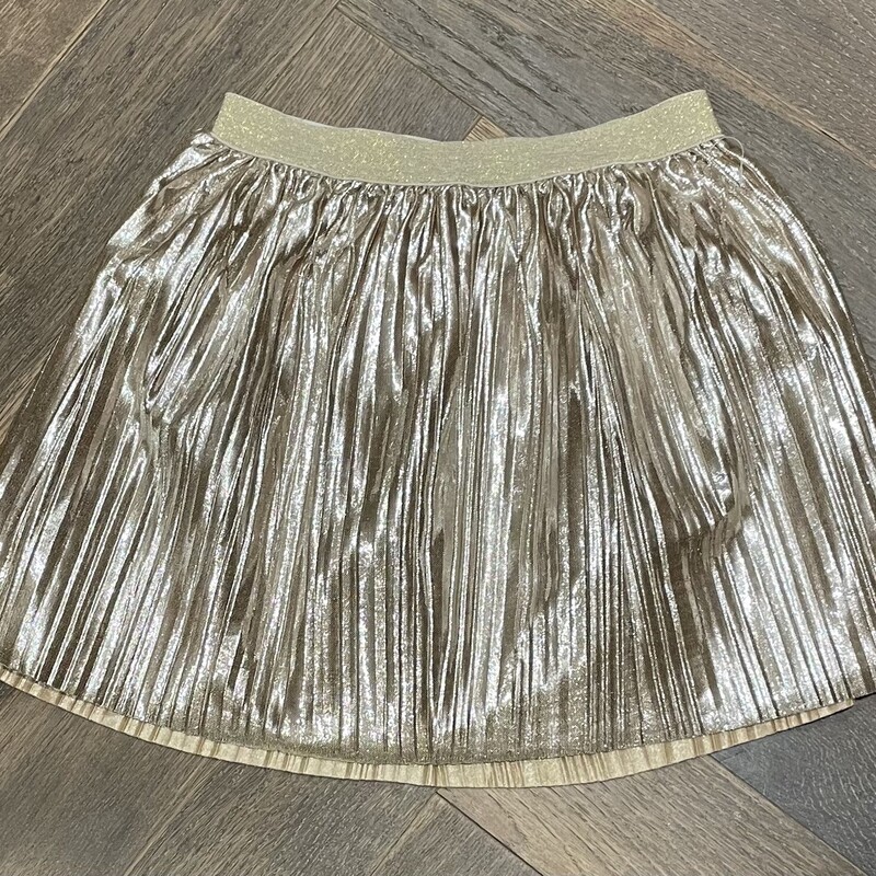 Carters Skirt