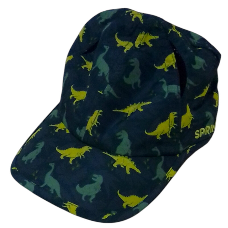 Hat: Dinosaurs