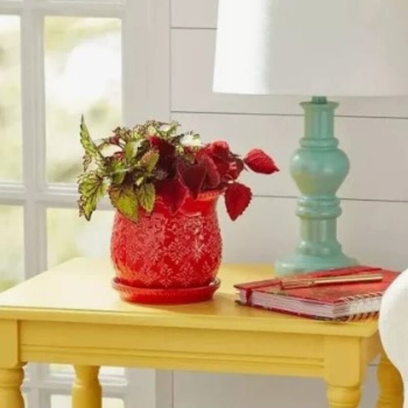 Ceramic Snowflake Planter
Red Ceramic with Attached Drip Tray
Size: 8x8H
Drain Hold Inside Pot