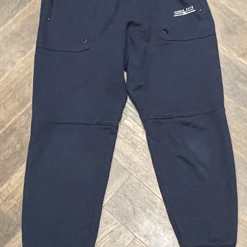 Zara Sweatpants, Navy, Size: 10Y