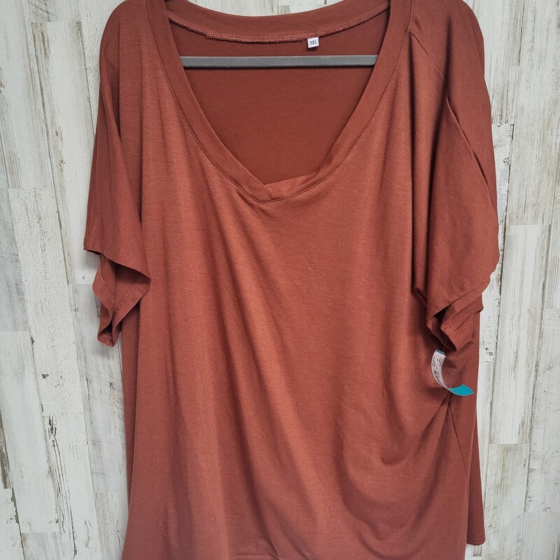 3X Rust Vneck Tee