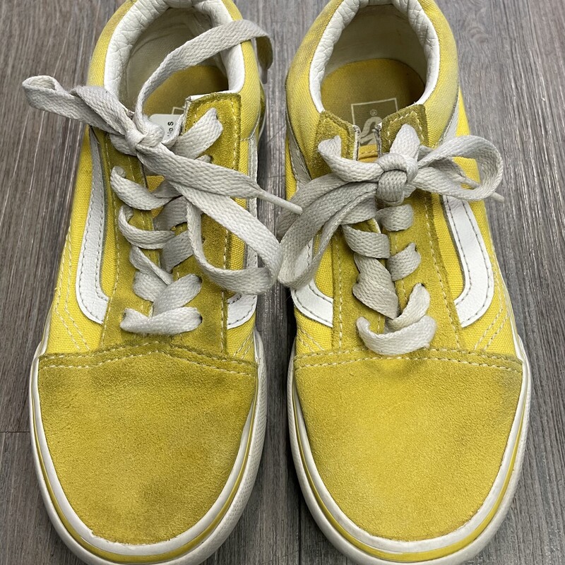 Vans Suede Lace Up Shoes