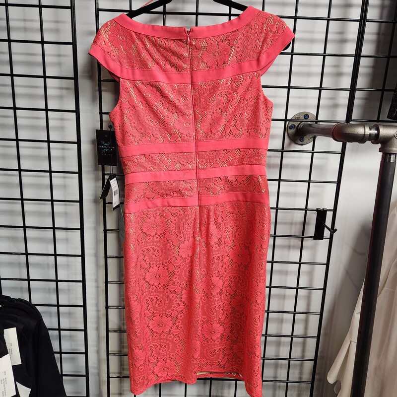 Adrianna Papell Designer, Coral, Size: 8