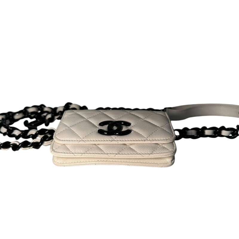 Chanel My Everything Belt Bag<br />
Chanel Belt Bag<br />
From the Cruise 2021 Collection by Virginie Viard<br />
Multitonal Hardware<br />
Grosgrain Lining<br />
Snap Closure at Front<br />
Serial Code: 30892640<br />
Comes with original box and dust bag<br />
In excellent condition