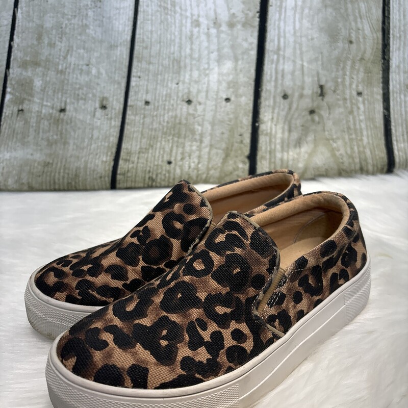 Steve Madden, Leopard, Size: 6