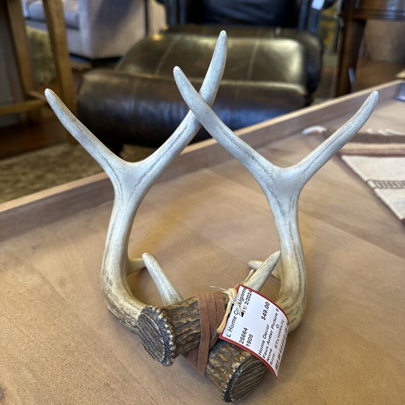 Faux Antler Picture Stand