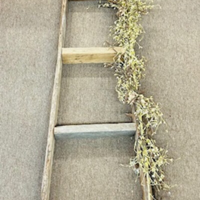 Rustic Ladder With Lights and Berries
Brown Cream Size: 15 x 72H