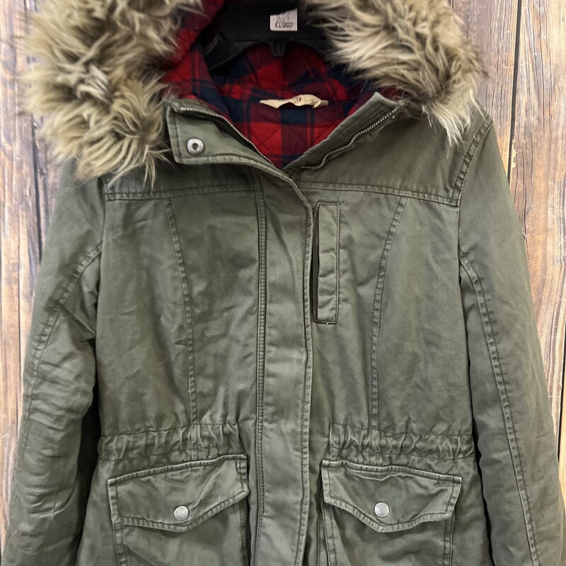 Green Hollister Coat