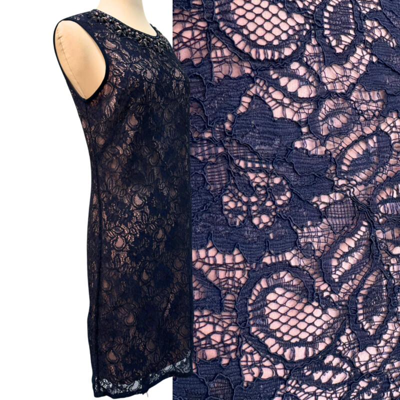 Adrianna Papell Dress<br />
Lace Overlay<br />
Bejeweled Collar<br />
Color: Navy and Blush<br />
Size: 8