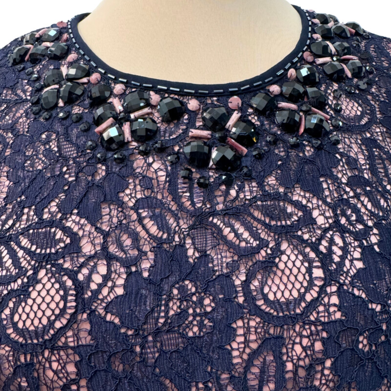 Adrianna Papell Dress
Lace Overlay
Bejeweled Collar
Color: Navy and Blush
Size: 8