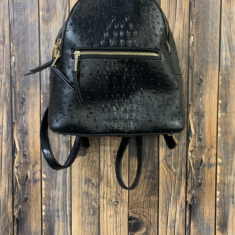 Black Backpack Purse