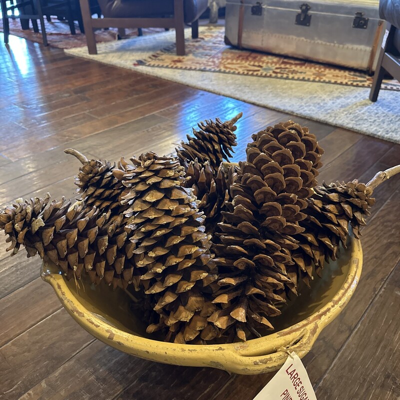 Sugar Pinecone