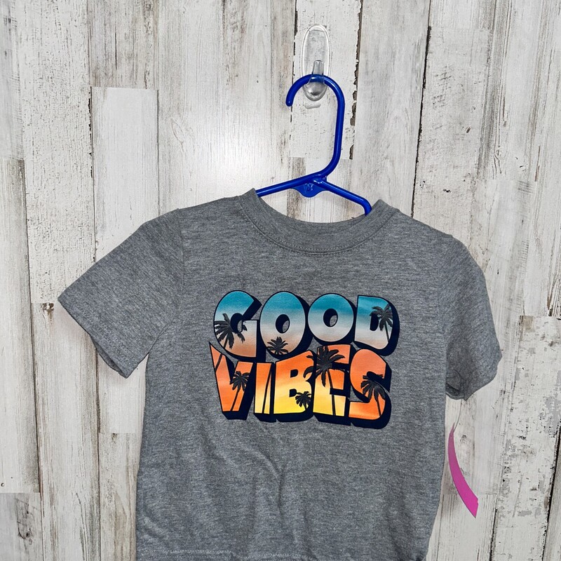 2T Cool Vibes Tee, Grey, Size: Boy 2T-4T