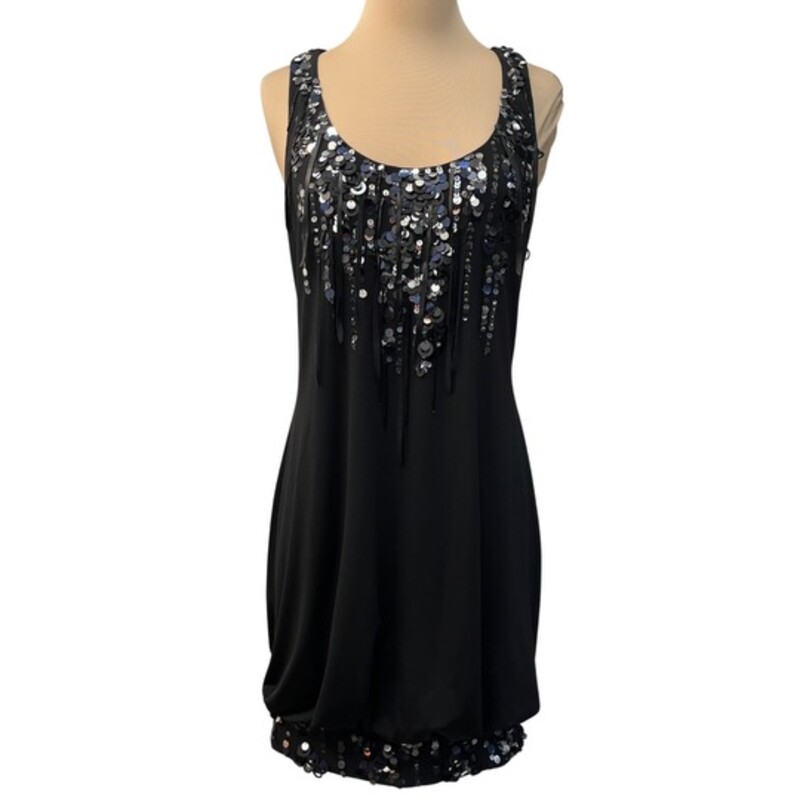 Sue Wong Sequin Dress<br />
Sleeveless with Sequin and Fringe Detail<br />
Color: Black<br />
Size: 6<br />
Perfect for that Holiday Party!