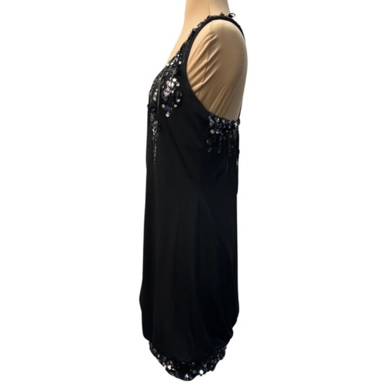 Sue Wong Sequin Dress<br />
Sleeveless with Sequin and Fringe Detail<br />
Color: Black<br />
Size: 6<br />
Perfect for that Holiday Party!