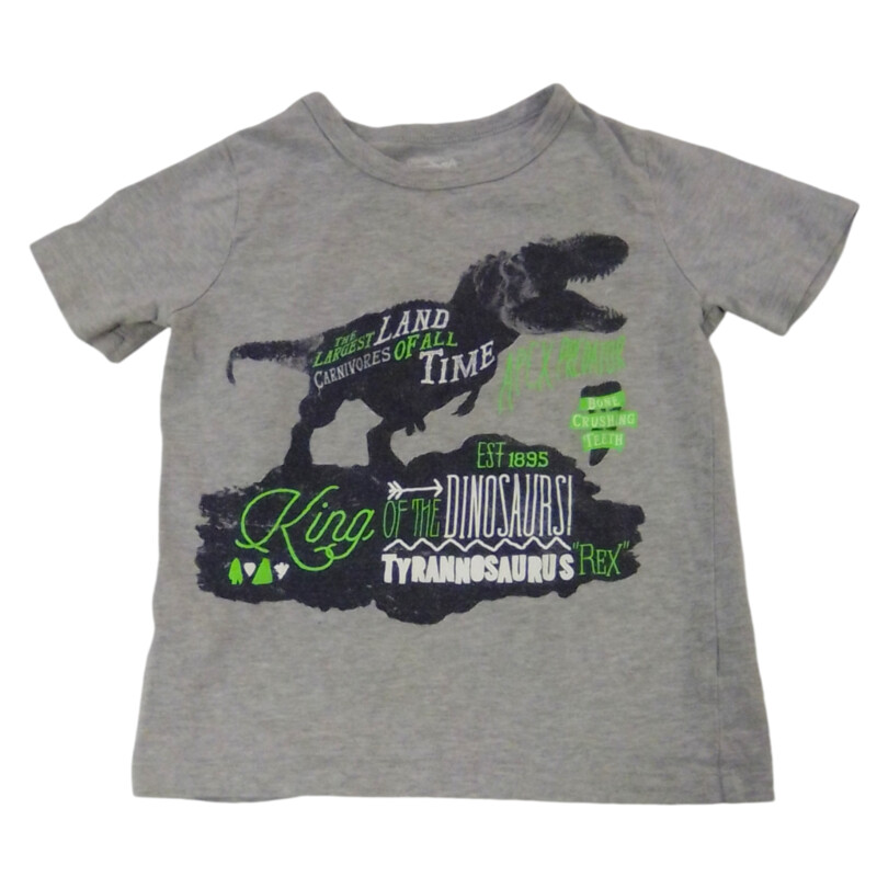 Shirt: Dinosaur/grey