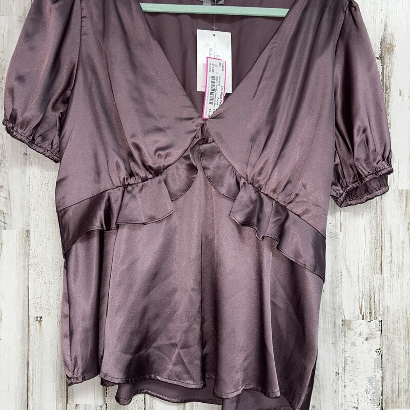 NEW L Purple Satin V Neck