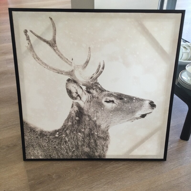 Framed Deer Canvas