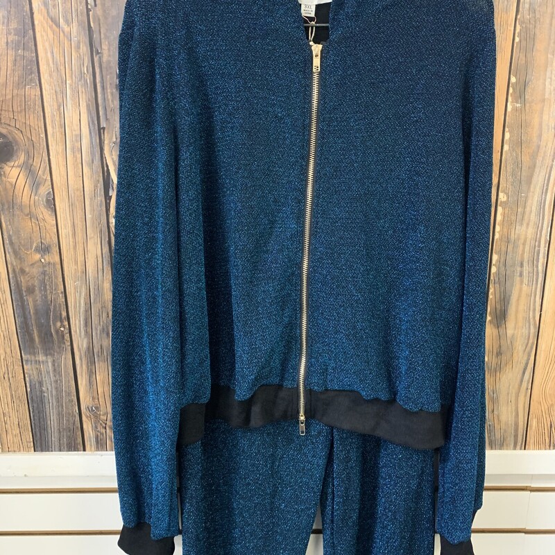 NWT Blue Sparkle Sweatsui