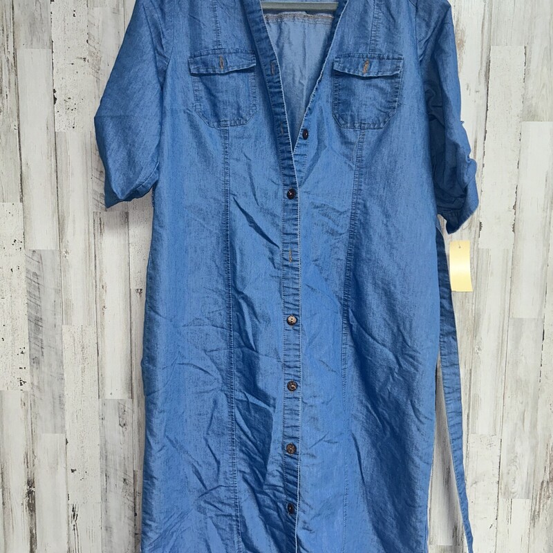 XL Chambray Button Dress