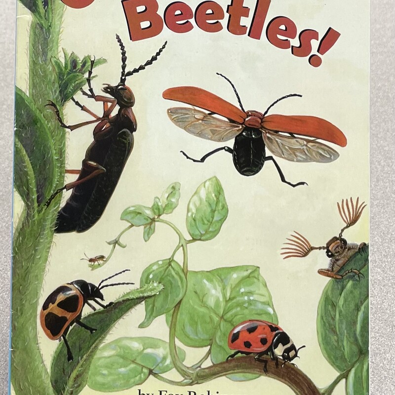 Creepy Beetles!, Multi, Size: Paperback