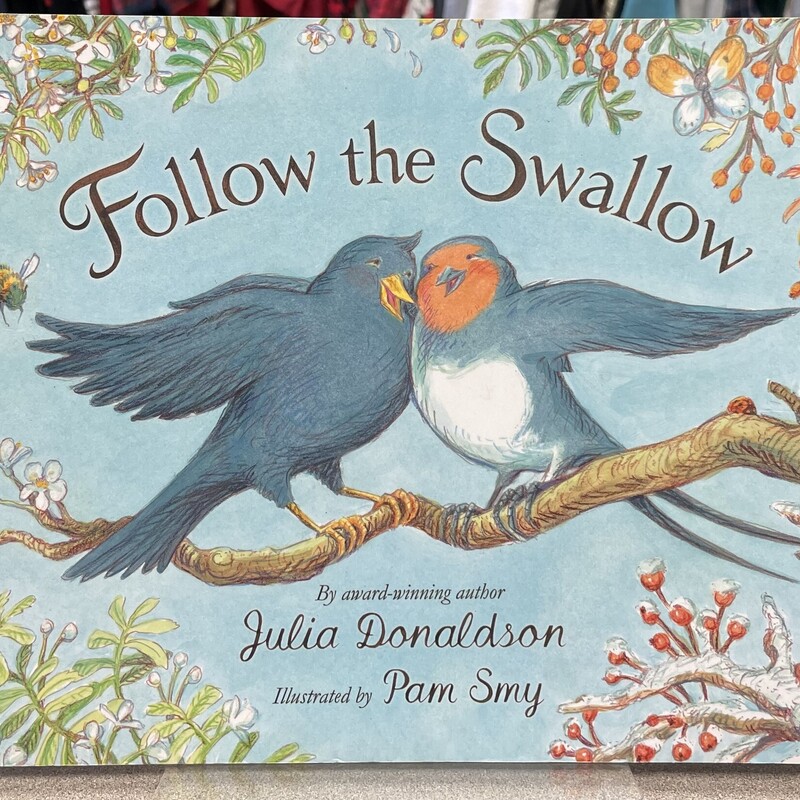 Follow The Swallow, Multi, Size: Paperback