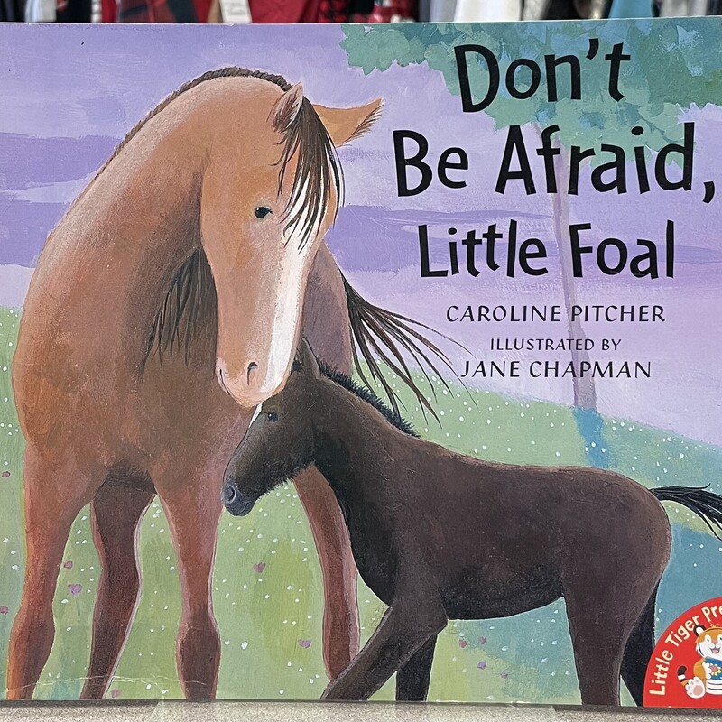 Dont Be Afraid Little Foa