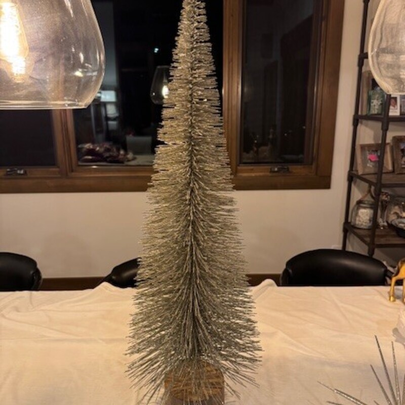 Tall Silver Tree

Size: 36T