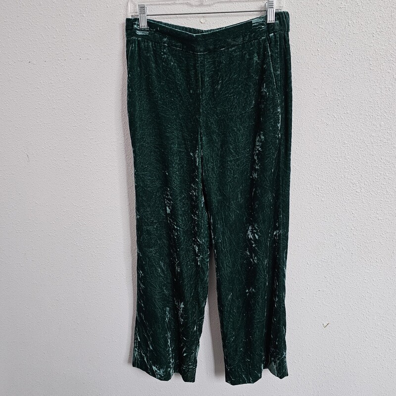 J Crew Velvet, Green, Size: 8Tall