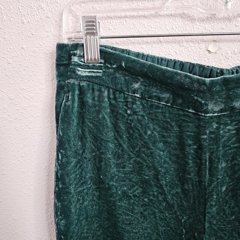 J Crew Velvet, Green, Size: 8Tall