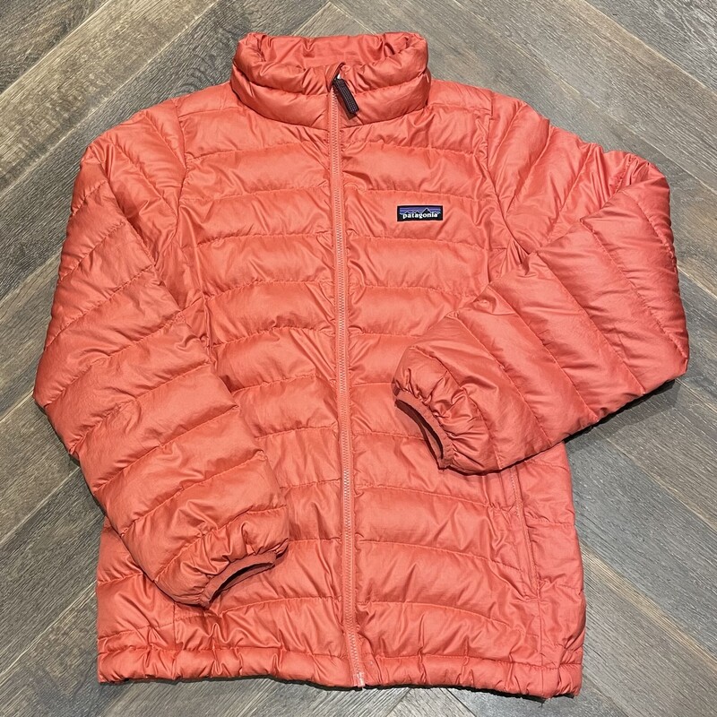 Patagonia Downfill Winter