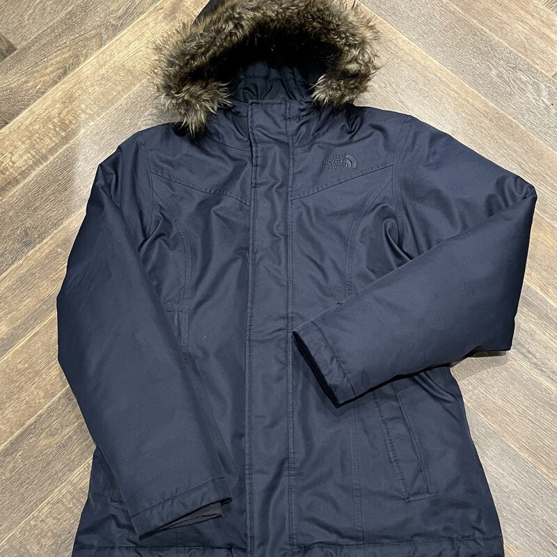 Northface Down Parka