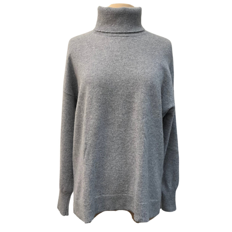 Nordstrom Cashmere Turtleneck<br />
Color:  Gray<br />
Size: XLarge