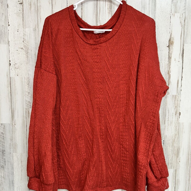 2X Rust Knit Top