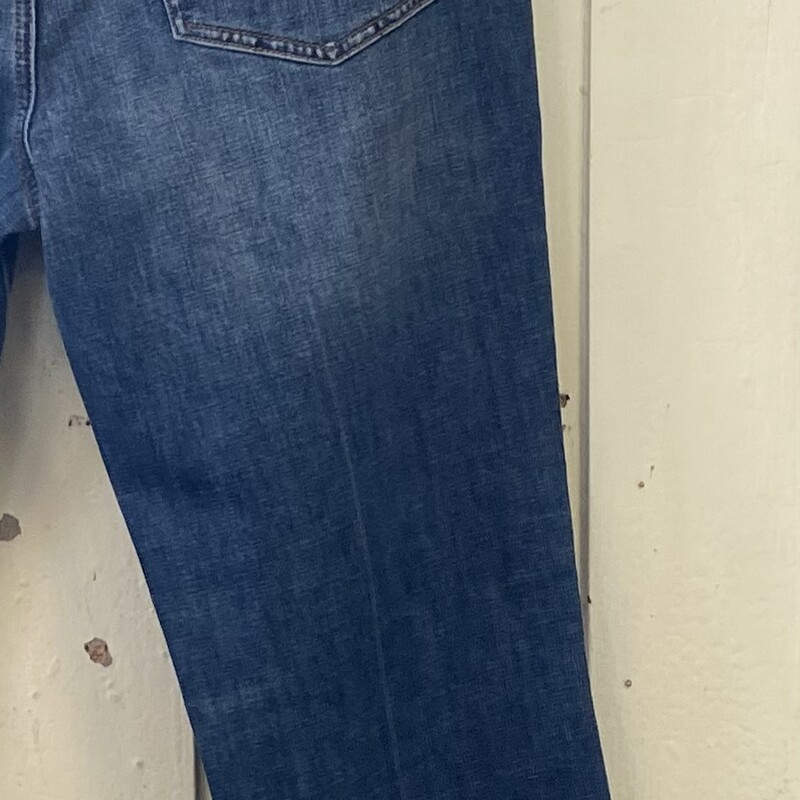 Denim Jeans<br />
Blue<br />
Size: 8 R $120