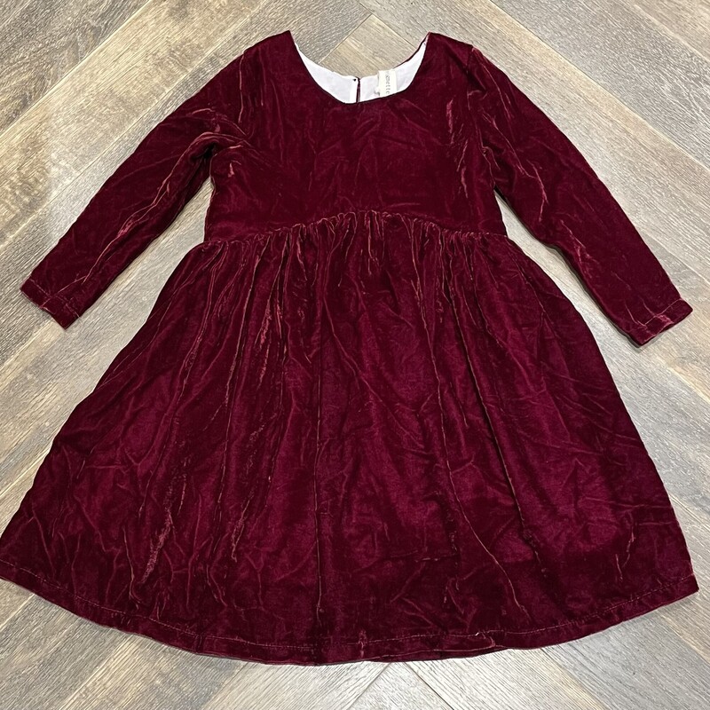 Vignette Velour LS Dress