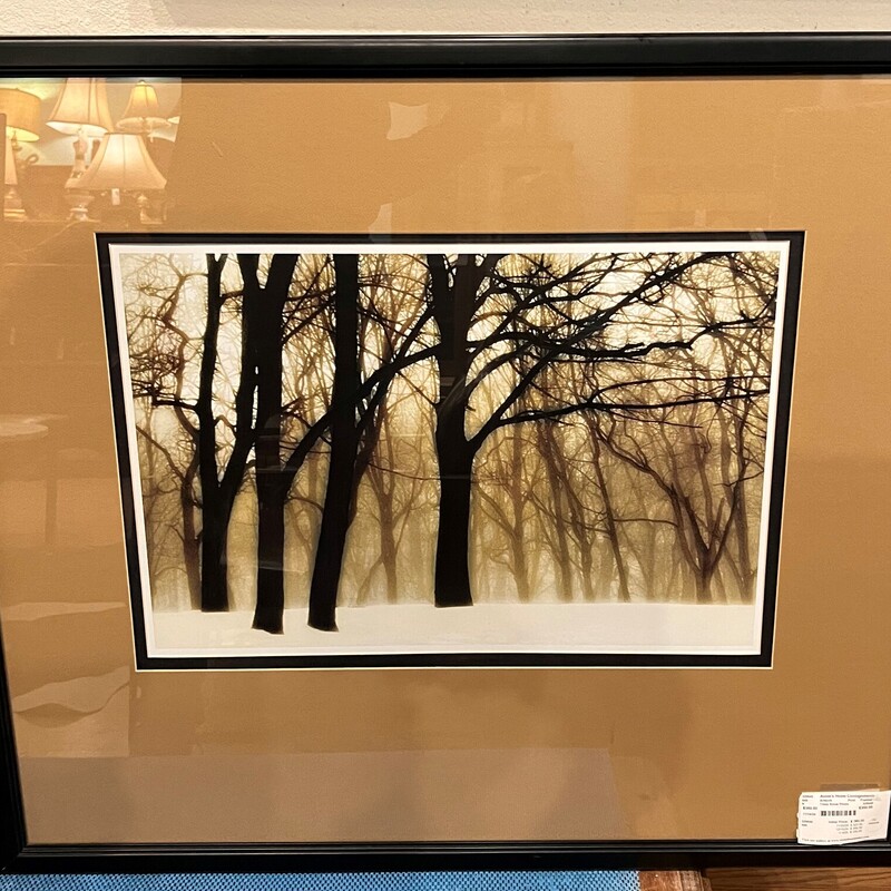 Trees Snow Photo, Print, Framed
40in x 35in