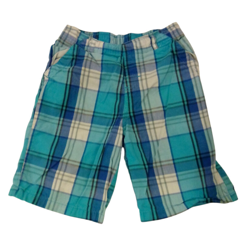 Shorts: Blue Plaid