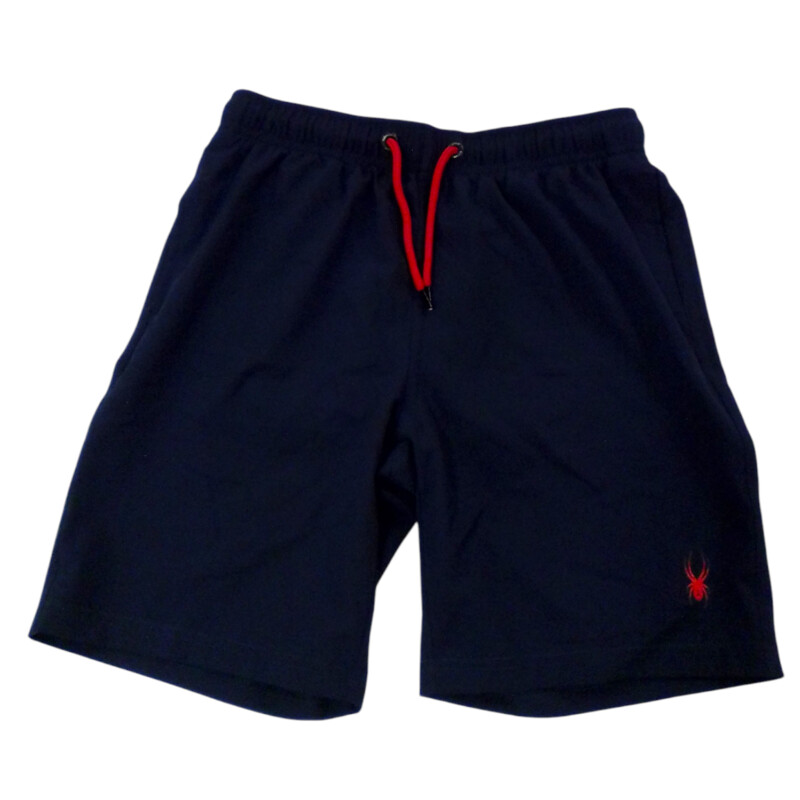 Swim Shorts: Blue