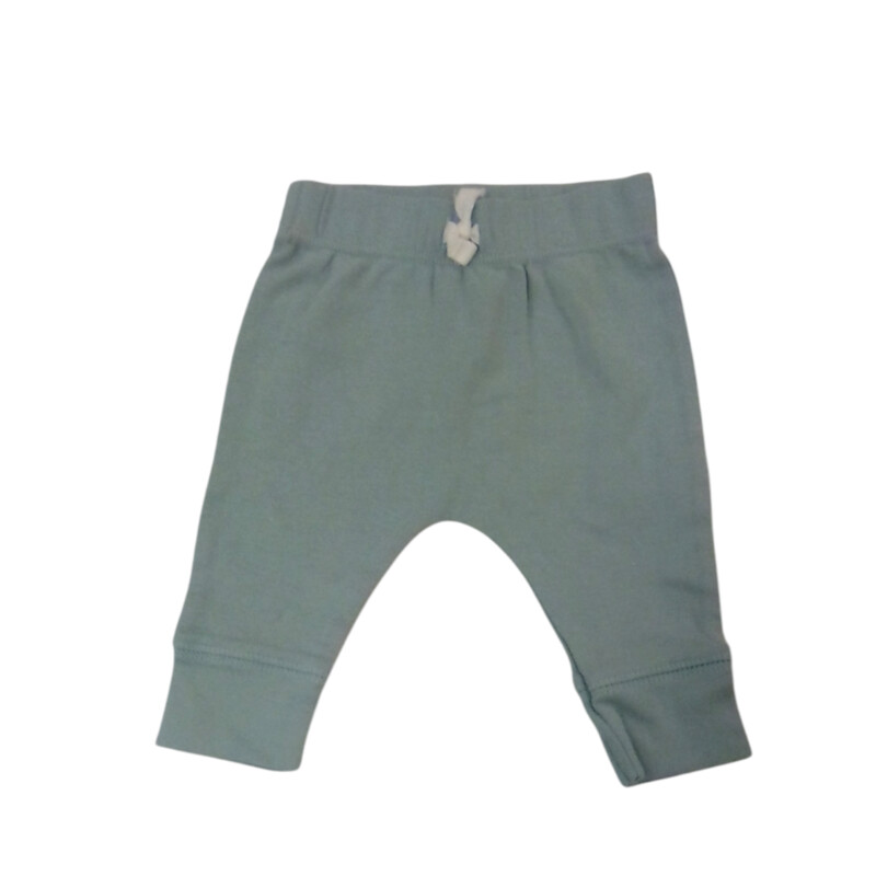 Pants: Slate Green