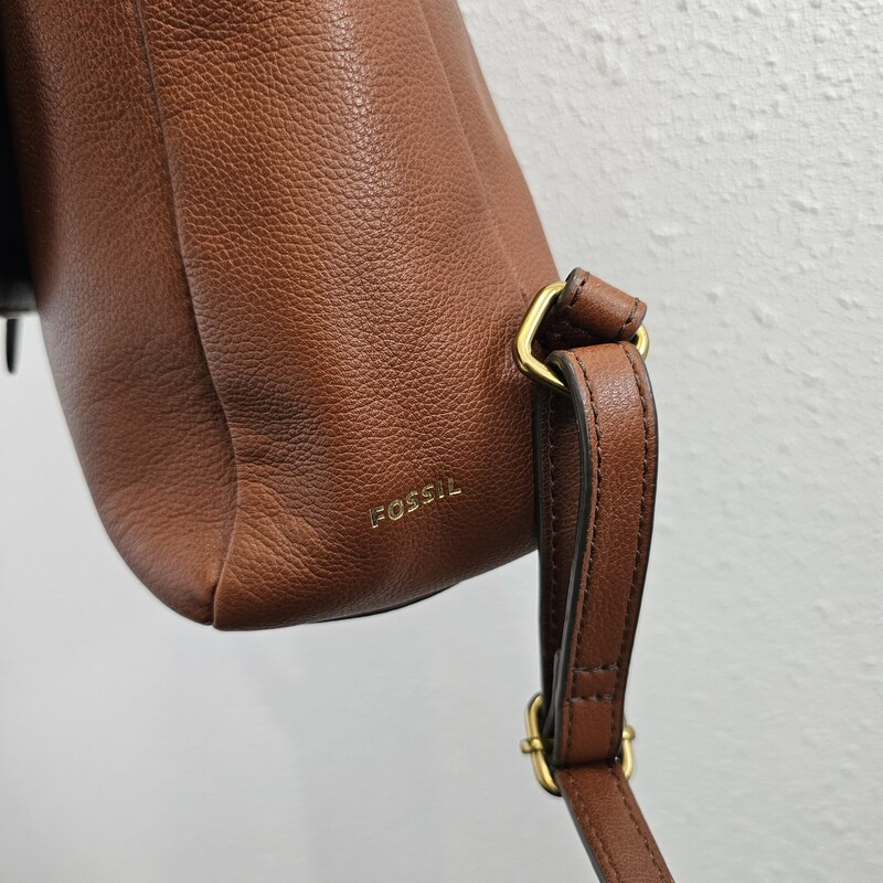 Fossil, Brown, Size: Backpack