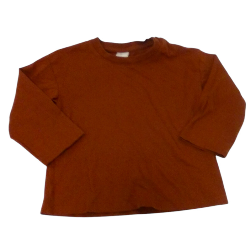 Long Sleeve Shirt: Brown