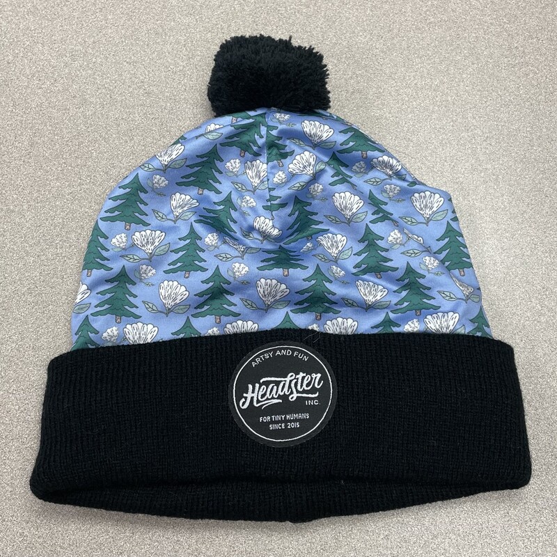 Headster Knit Beanie Hat